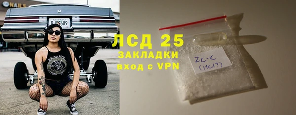 стафф Михайловск