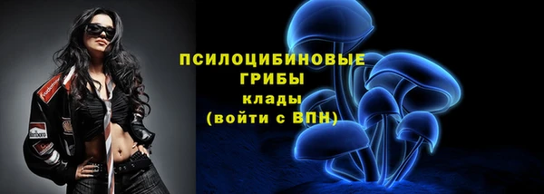 PSILOCYBIN Надым