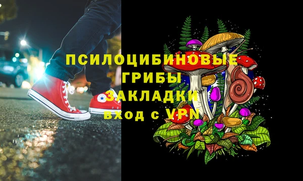 ECSTASY Снежинск