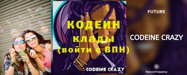 стафф Михайловск