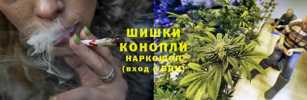 PSILOCYBIN Надым