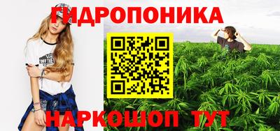 соль ск Аргун