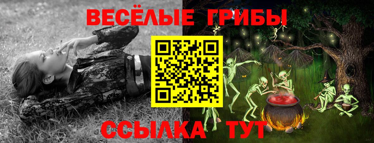 Галлюциногенные грибы мицелий Малгобек