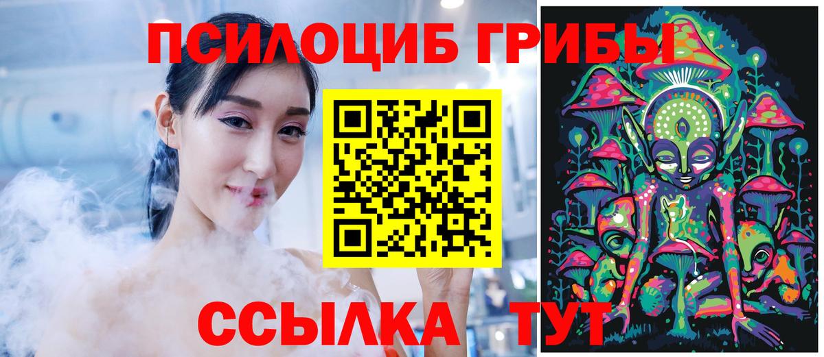 Псилоцибиновые грибы Psilocybe  как найти наркотики  Малгобек 