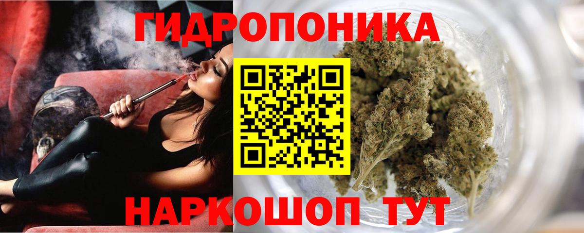 Марихуана OG Kush  Вход с VPN  МАРИХУАНА гибрид  Малгобек 